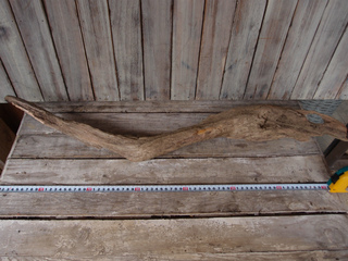 sP2250016.jpg